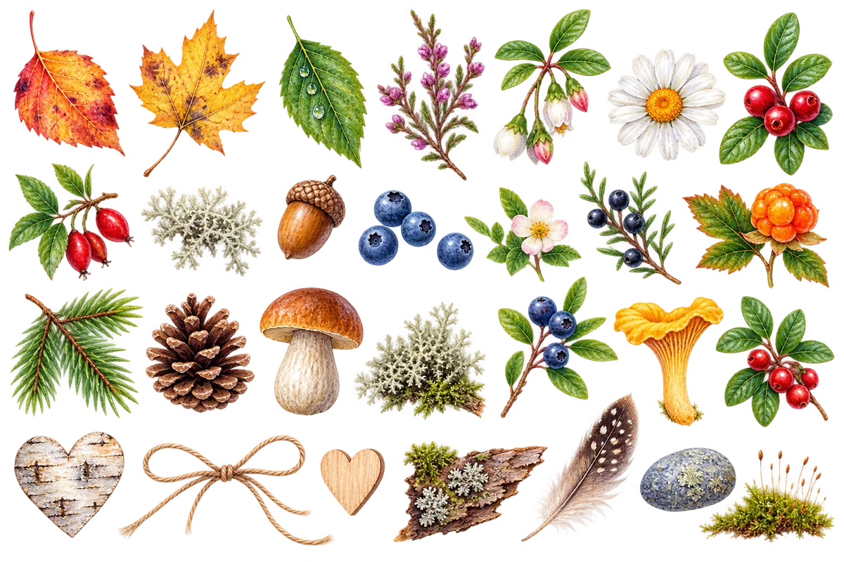 Seasonal Finnish botanicals from the Finland Mail Club journal